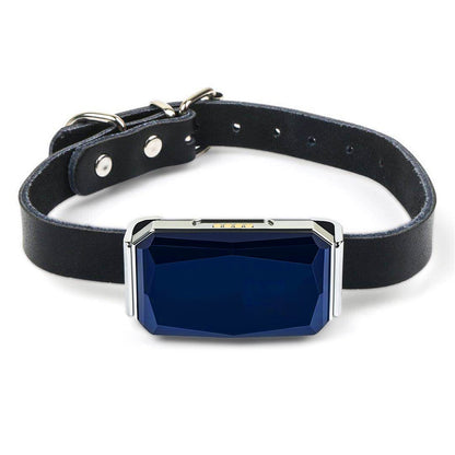 Nuzzle Guard GPS Collar — Real-Time Pet Tracker with App, SMS & Geo-Fence Alerts